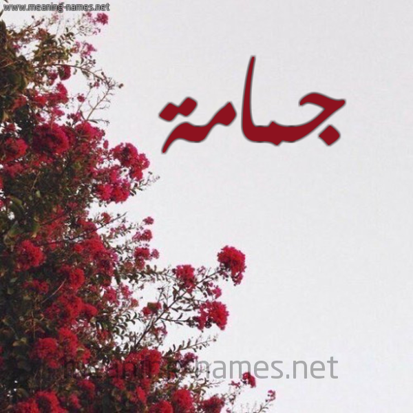 شكل 18 صوره الورد الأحمر للإسم بخط رقعة صورة اسم جمامة Jmamh
