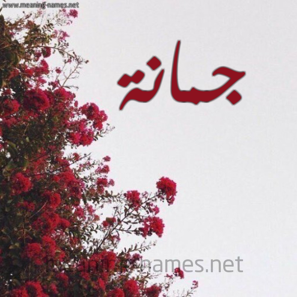 شكل 18 صوره الورد الأحمر للإسم بخط رقعة صورة اسم جمانة Jumana