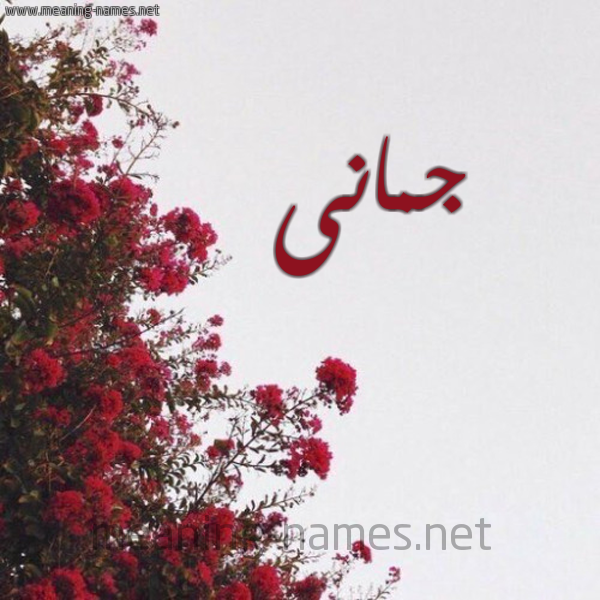 شكل 18 صوره الورد الأحمر للإسم بخط رقعة صورة اسم جمانى jamani