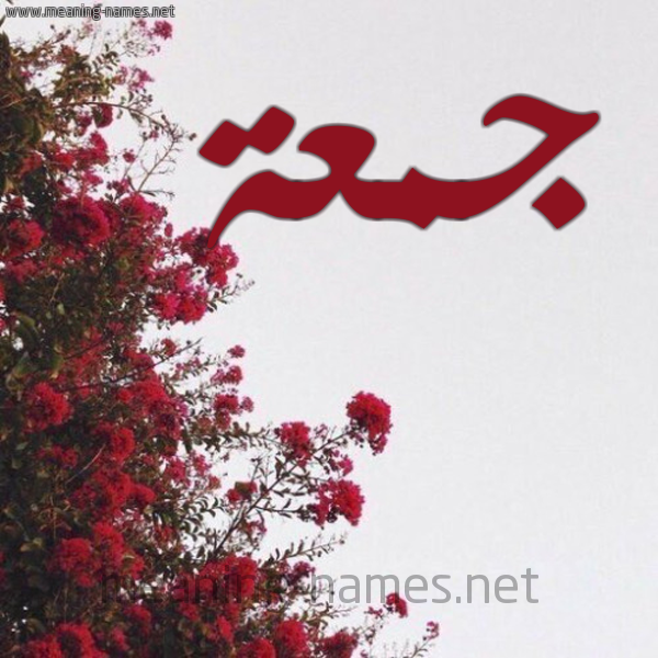 شكل 18 صوره الورد الأحمر للإسم بخط رقعة صورة اسم جمعة Jomaa