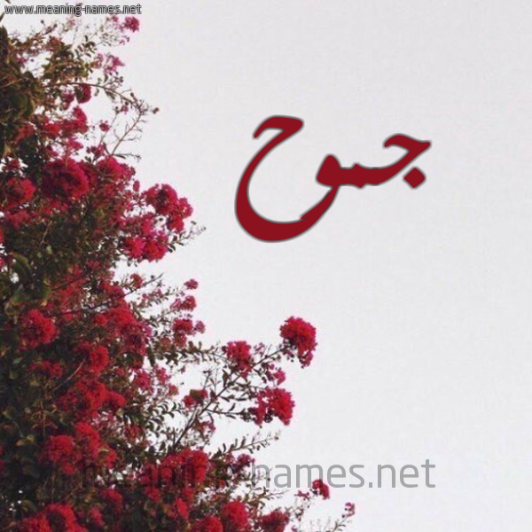 شكل 18 صوره الورد الأحمر للإسم بخط رقعة صورة اسم جموح Jmwh