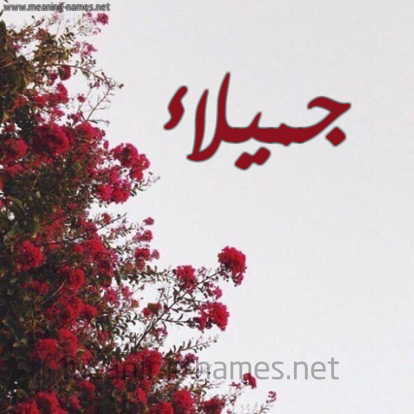 شكل 18 صوره الورد الأحمر للإسم بخط رقعة صورة اسم جميلاء Jamlaa
