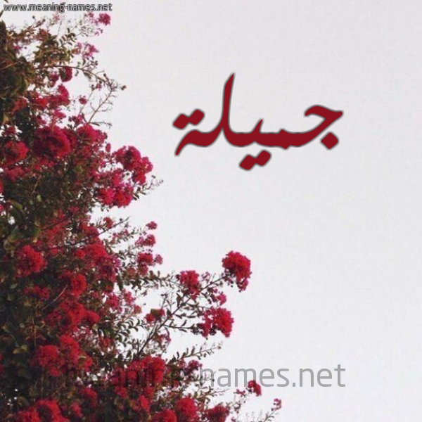 شكل 18 صوره الورد الأحمر للإسم بخط رقعة صورة اسم جميلة Jamila