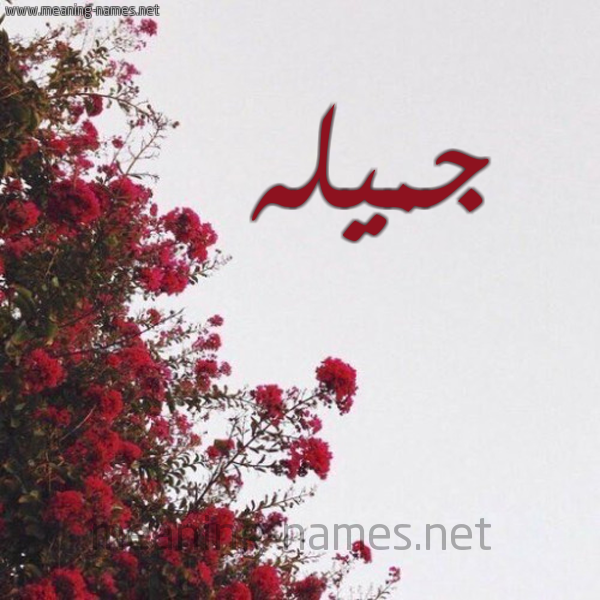 شكل 18 صوره الورد الأحمر للإسم بخط رقعة صورة اسم جميله Gamila