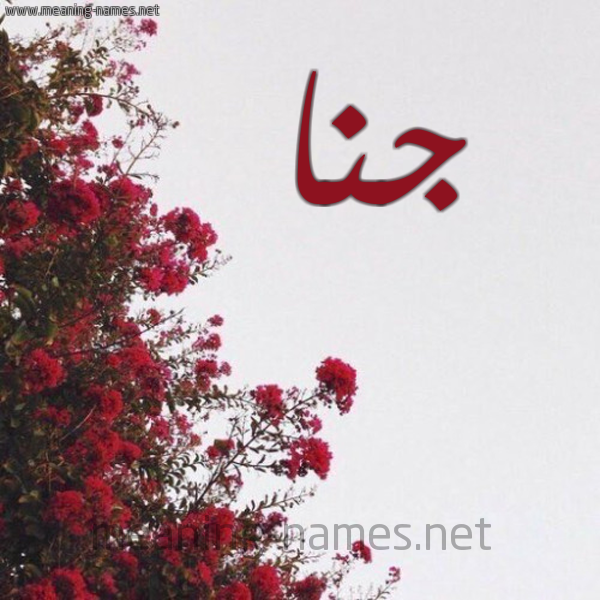 شكل 18 صوره الورد الأحمر للإسم بخط رقعة صورة اسم جنا jana