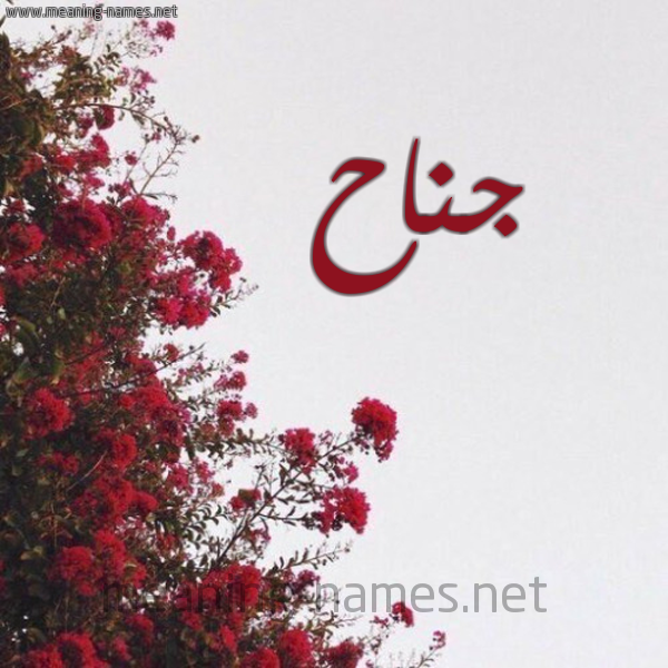 شكل 18 صوره الورد الأحمر للإسم بخط رقعة صورة اسم جناح Jnah