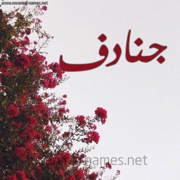 شكل 18 صوره الورد الأحمر للإسم بخط رقعة صورة اسم جنادف Jnadf