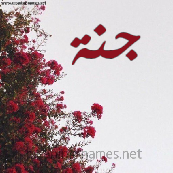 شكل 18 صوره الورد الأحمر للإسم بخط رقعة صورة اسم جنة Jana