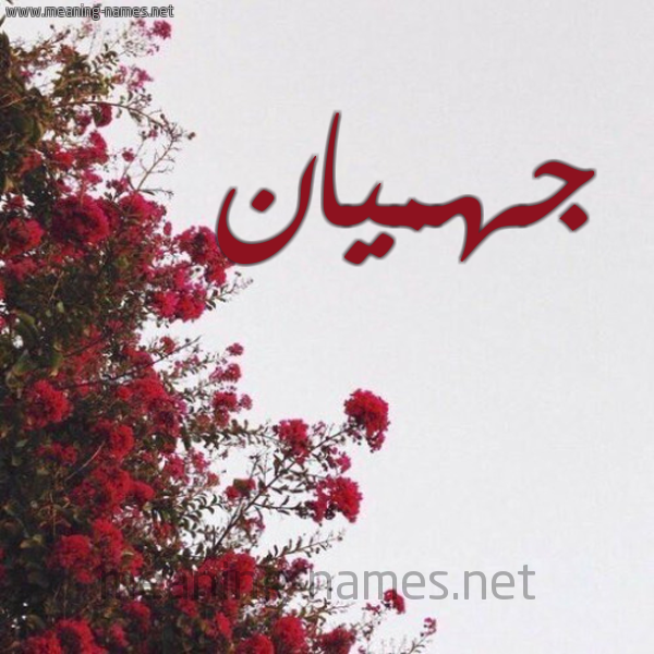 شكل 18 صوره الورد الأحمر للإسم بخط رقعة صورة اسم جهميان Jahman