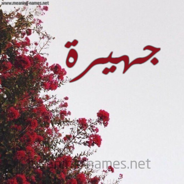 شكل 18 صوره الورد الأحمر للإسم بخط رقعة صورة اسم جهيرة Jhyrh