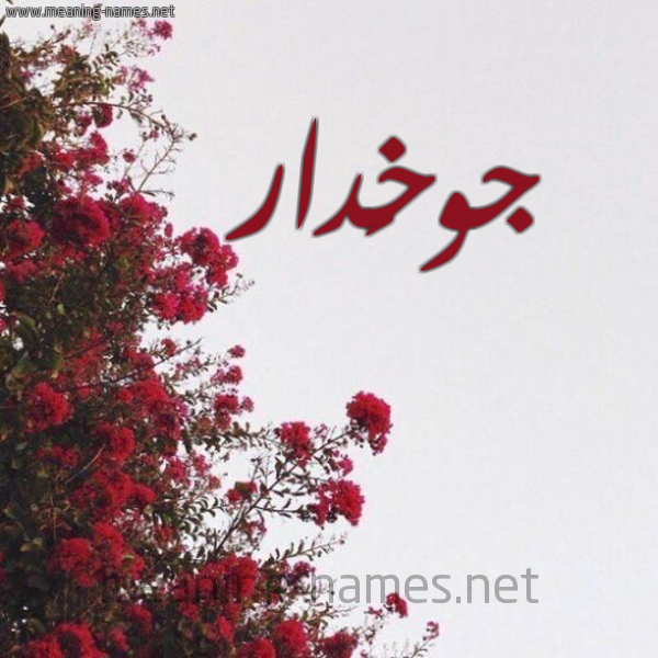 شكل 18 صوره الورد الأحمر للإسم بخط رقعة صورة اسم جوخَدار GOKHADAR