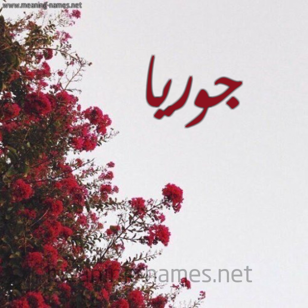 شكل 18 صوره الورد الأحمر للإسم بخط رقعة صورة اسم جوريا Juwariya