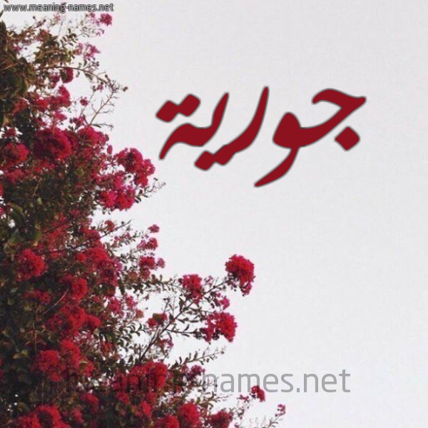شكل 18 صوره الورد الأحمر للإسم بخط رقعة صورة اسم جورية Jwryh