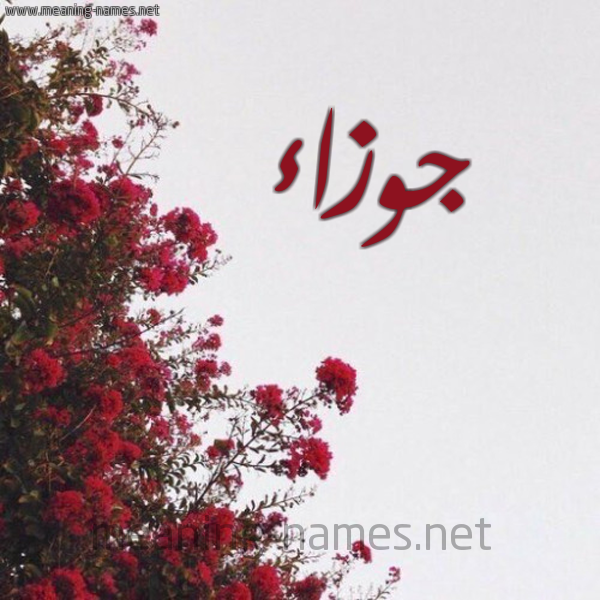 شكل 18 صوره الورد الأحمر للإسم بخط رقعة صورة اسم جوزاء Jwza'a
