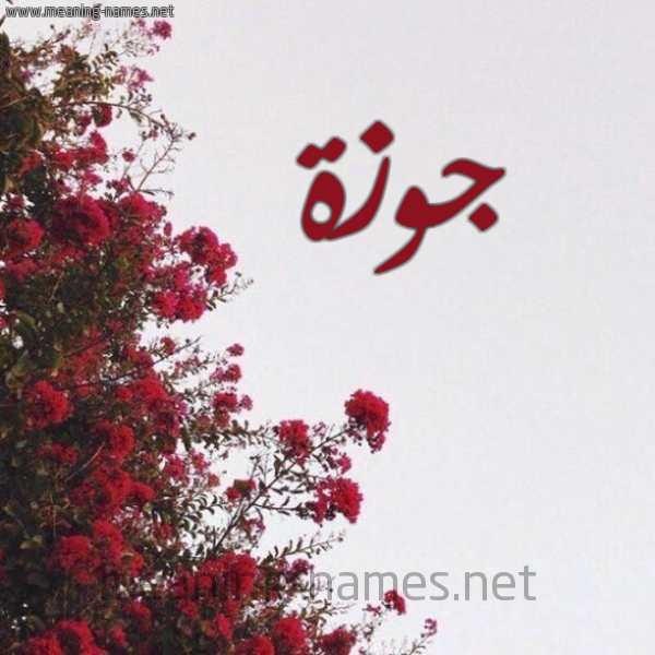 شكل 18 صوره الورد الأحمر للإسم بخط رقعة صورة اسم جوزة Jwzh