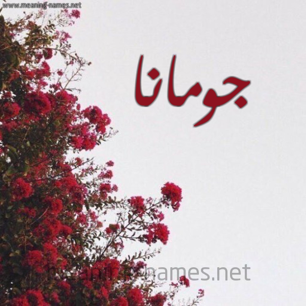شكل 18 صوره الورد الأحمر للإسم بخط رقعة صورة اسم جومانا jomana