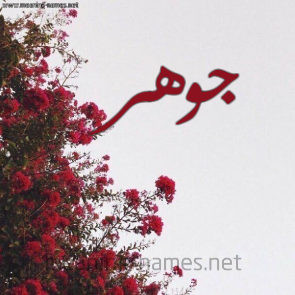 شكل 18 صوره الورد الأحمر للإسم بخط رقعة صورة اسم جوهر Jwhr