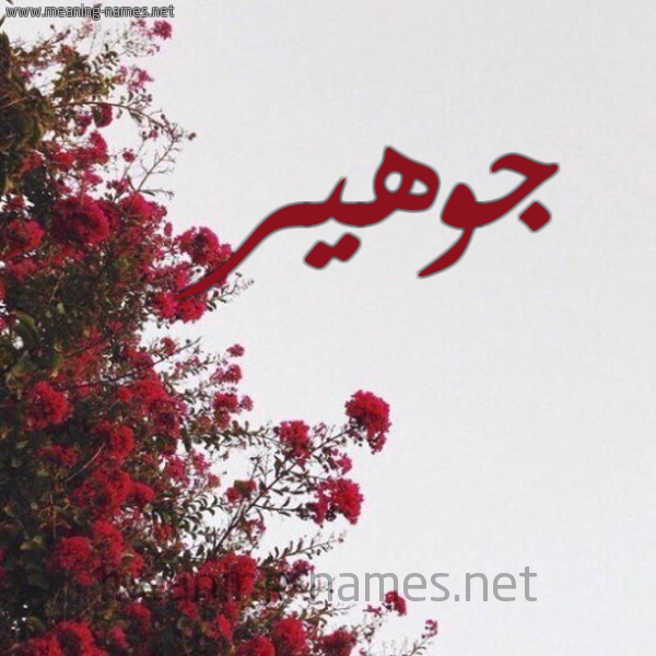 شكل 18 صوره الورد الأحمر للإسم بخط رقعة صورة اسم جوهير Joheer