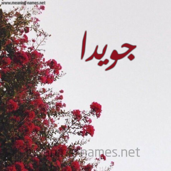شكل 18 صوره الورد الأحمر للإسم بخط رقعة صورة اسم جويدا Jweida