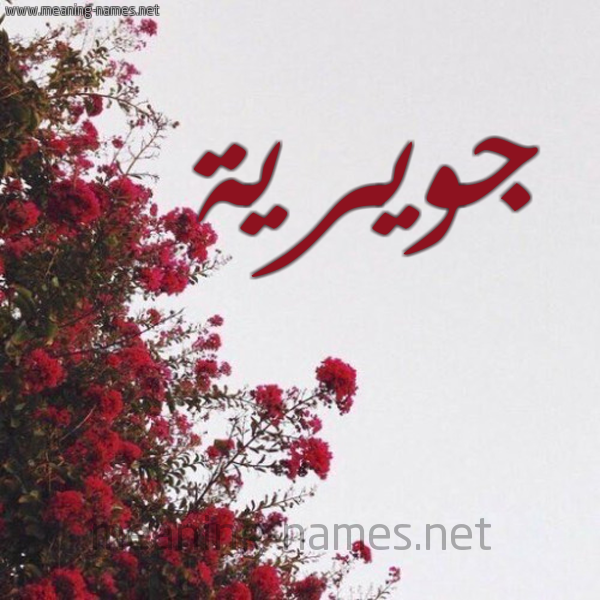 شكل 18 صوره الورد الأحمر للإسم بخط رقعة صورة اسم جويرية Jwyryh