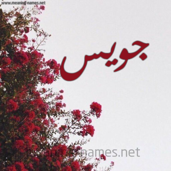 شكل 18 صوره الورد الأحمر للإسم بخط رقعة صورة اسم جويس Gois