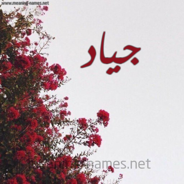 شكل 18 صوره الورد الأحمر للإسم بخط رقعة صورة اسم جياد Giad