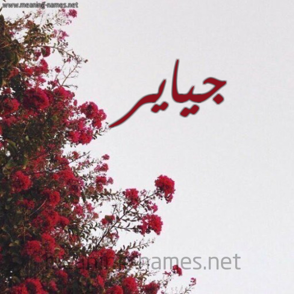 شكل 18 صوره الورد الأحمر للإسم بخط رقعة صورة اسم جياير Jair