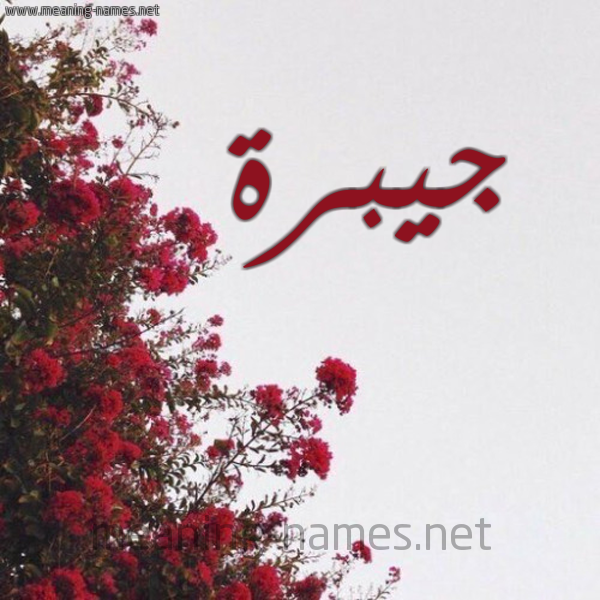 شكل 18 صوره الورد الأحمر للإسم بخط رقعة صورة اسم جيبرة Jabrah