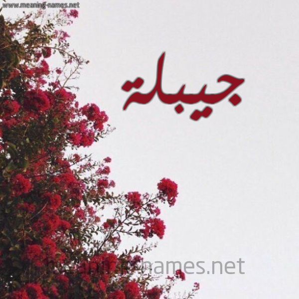 شكل 18 صوره الورد الأحمر للإسم بخط رقعة صورة اسم جيبلة Jablah