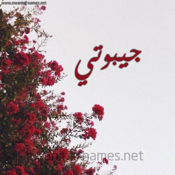 شكل 18 صوره الورد الأحمر للإسم بخط رقعة صورة اسم جيبوتي Djibouti