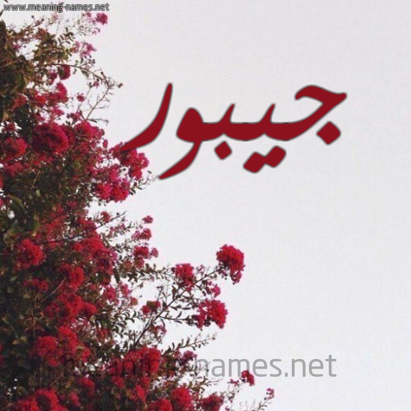 شكل 18 صوره الورد الأحمر للإسم بخط رقعة صورة اسم جيبور Jabour