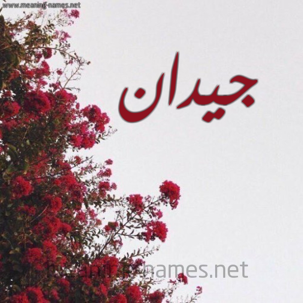 شكل 18 صوره الورد الأحمر للإسم بخط رقعة صورة اسم جيدان Jaydan