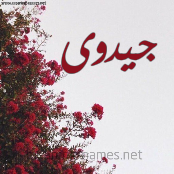 شكل 18 صوره الورد الأحمر للإسم بخط رقعة صورة اسم جيدوى Jadwa