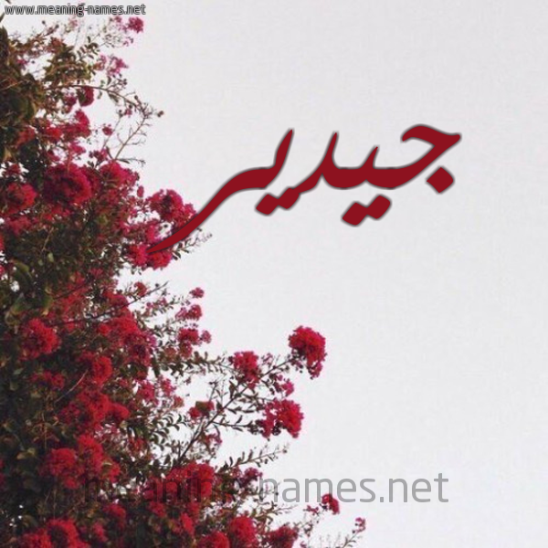 شكل 18 صوره الورد الأحمر للإسم بخط رقعة صورة اسم جيدير Gadeer