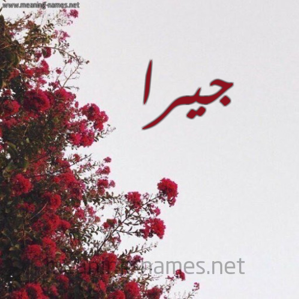 شكل 18 صوره الورد الأحمر للإسم بخط رقعة صورة اسم جيرا jiraaa