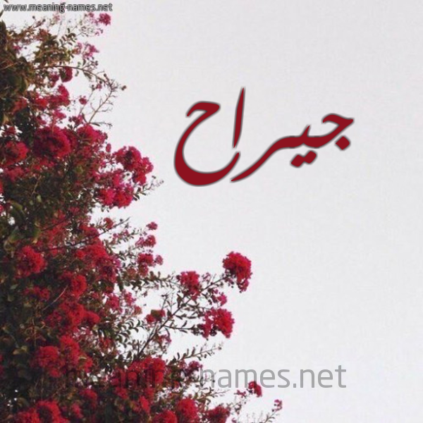 شكل 18 صوره الورد الأحمر للإسم بخط رقعة صورة اسم جيراح Jirah