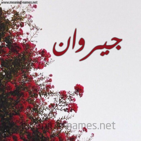 شكل 18 صوره الورد الأحمر للإسم بخط رقعة صورة اسم جيروان Jerwan