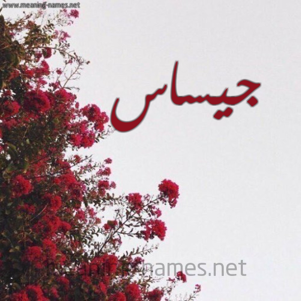 شكل 18 صوره الورد الأحمر للإسم بخط رقعة صورة اسم جيساس Jassas