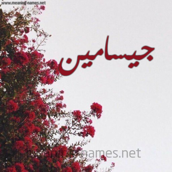 شكل 18 صوره الورد الأحمر للإسم بخط رقعة صورة اسم جيسامين jiasmeen