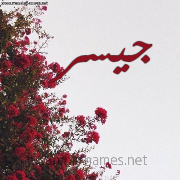 شكل 18 صوره الورد الأحمر للإسم بخط رقعة صورة اسم جيسر Jesr