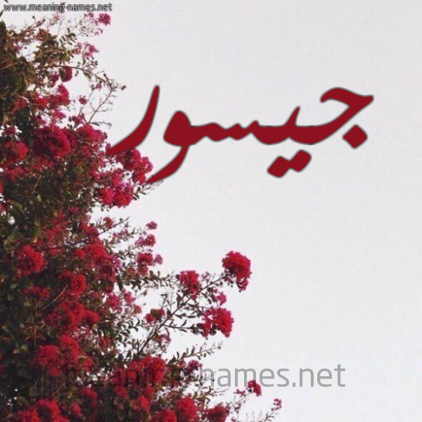 شكل 18 صوره الورد الأحمر للإسم بخط رقعة صورة اسم جيسور Josor