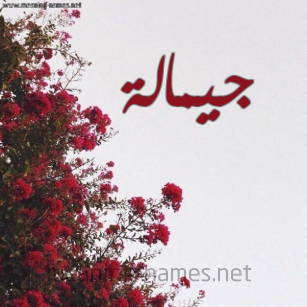شكل 18 صوره الورد الأحمر للإسم بخط رقعة صورة اسم جيمالة Jamalah