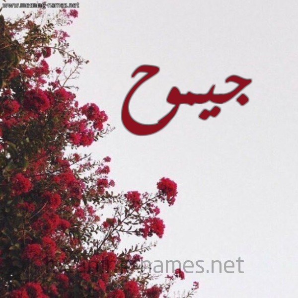 شكل 18 صوره الورد الأحمر للإسم بخط رقعة صورة اسم جيموح Gomouh