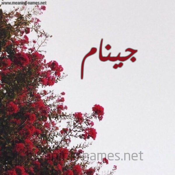 شكل 18 صوره الورد الأحمر للإسم بخط رقعة صورة اسم جينام jinam