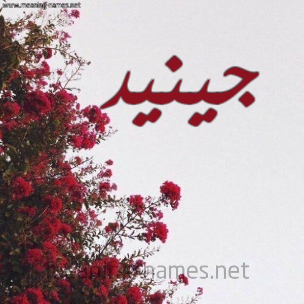شكل 18 صوره الورد الأحمر للإسم بخط رقعة صورة اسم جينيد Junaid