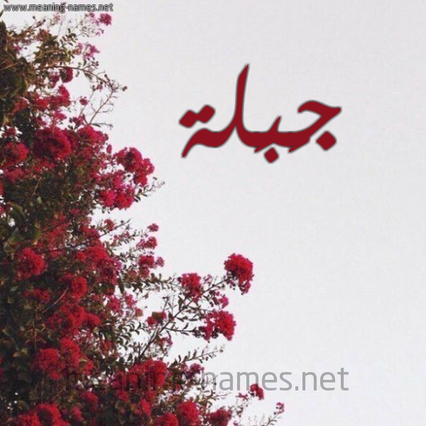 شكل 18 صوره الورد الأحمر للإسم بخط رقعة صورة اسم جَبَلة Gablh