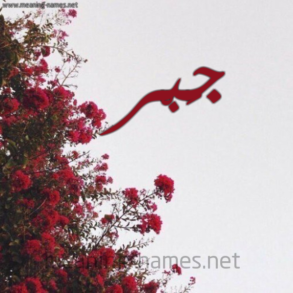 شكل 18 صوره الورد الأحمر للإسم بخط رقعة صورة اسم جَبْر GABR