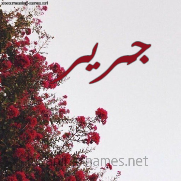 شكل 18 صوره الورد الأحمر للإسم بخط رقعة صورة اسم جَرير Garir