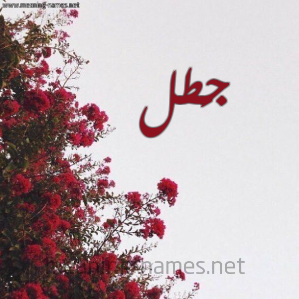 شكل 18 صوره الورد الأحمر للإسم بخط رقعة صورة اسم جَطل GATL