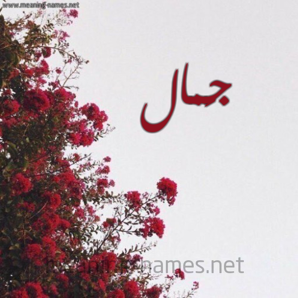 شكل 18 صوره الورد الأحمر للإسم بخط رقعة صورة اسم جَمال GAMAL